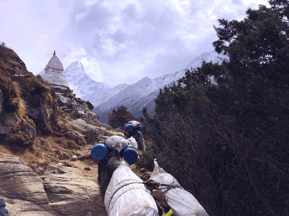 Logistics being carried to Himalayan villages